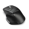 Epic Mouse - Black