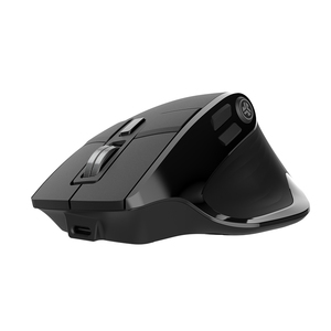 Epic Mouse - Black