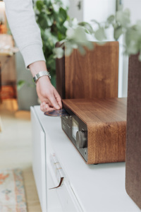 Classic Stereo Coffee Black/Walnut EU/UK